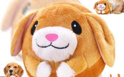 Some pet toys in Hong Kong have chemicals that can cause allergies: watchdog