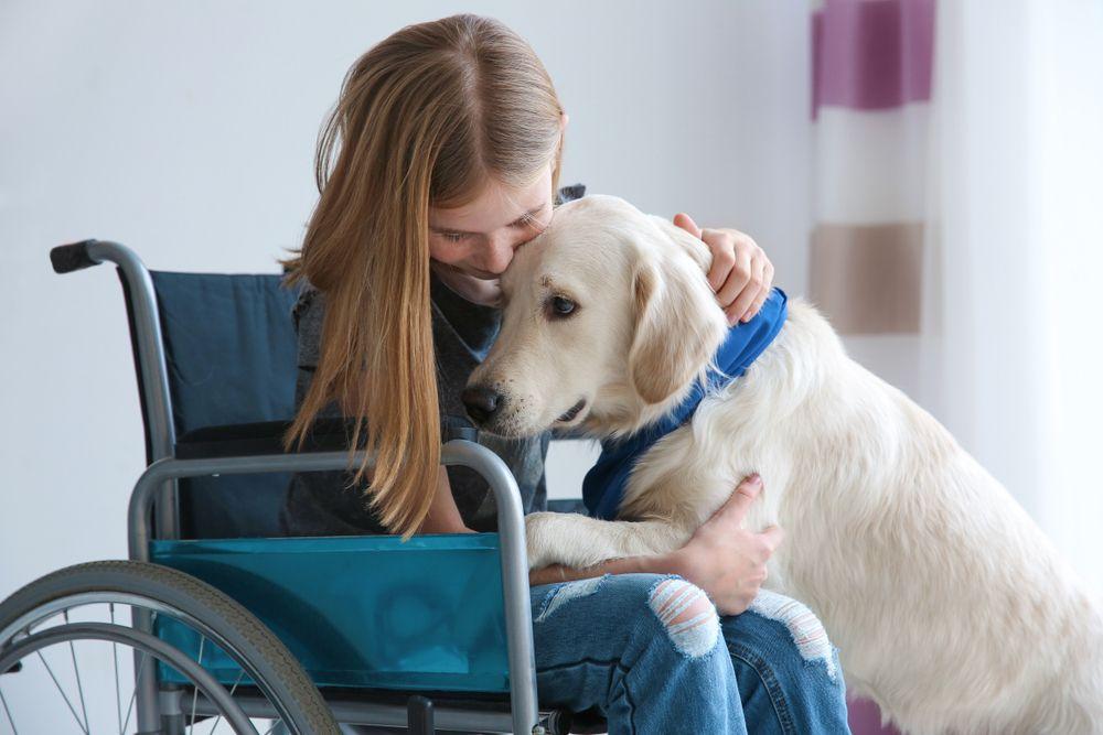 - The ⁣Benefits of Animal-Assisted <a href=